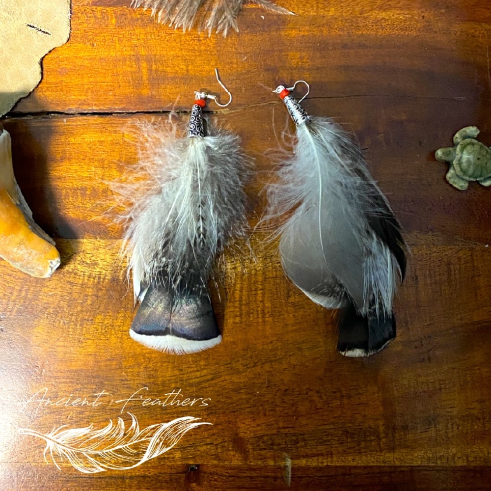 Natural Feather Earrings